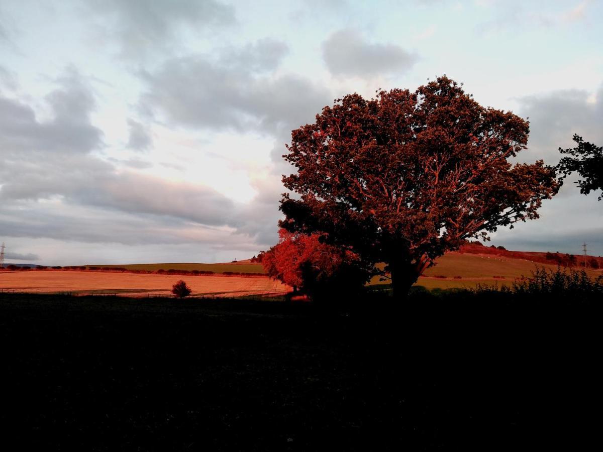 19 Park Views Just Outside Penrith For Holidays And Short Breaks Please No Commercial Vans Thankyou High Hesket Dış mekan fotoğraf
