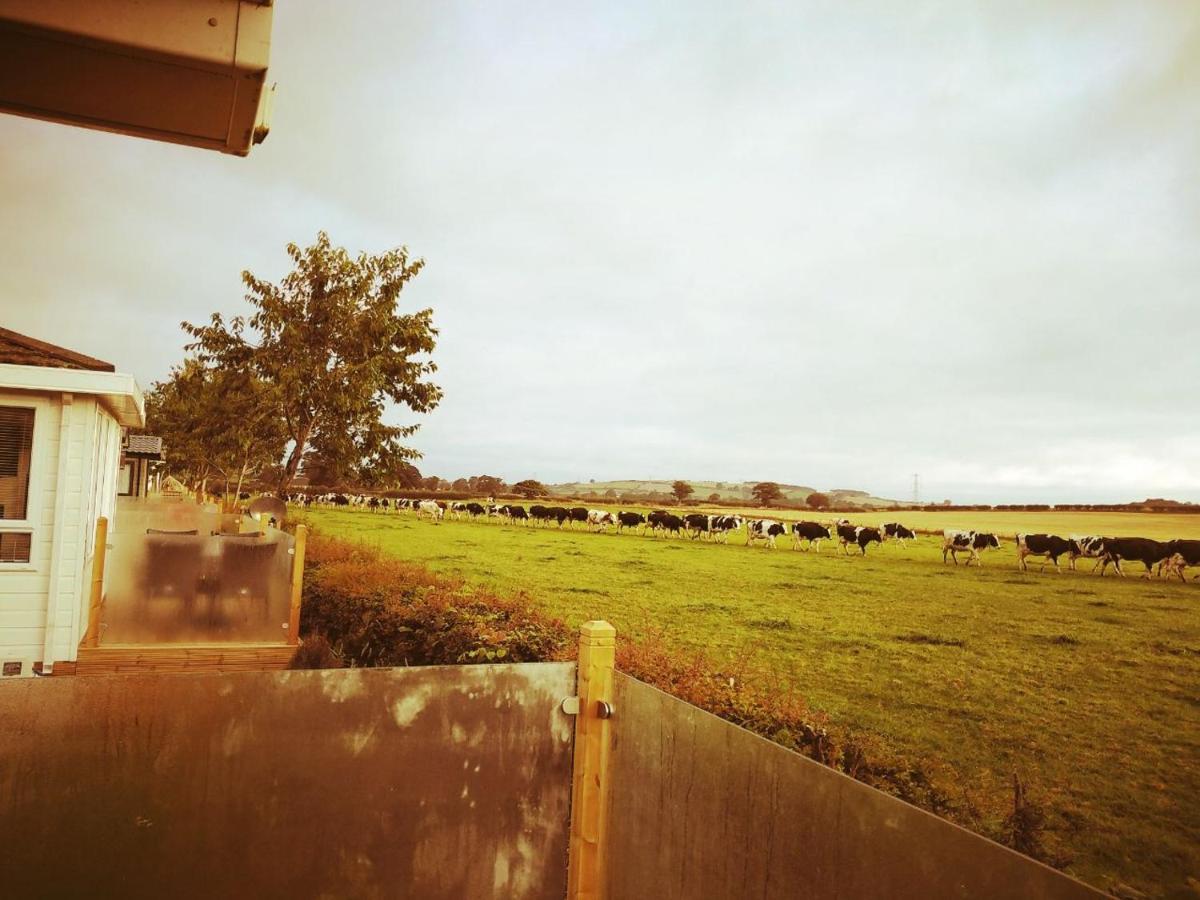 19 Park Views Just Outside Penrith For Holidays And Short Breaks Please No Commercial Vans Thankyou High Hesket Dış mekan fotoğraf
